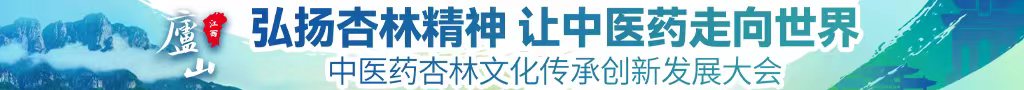 大黑鸡巴免费视频中医药杏林文化传承创新发展大会